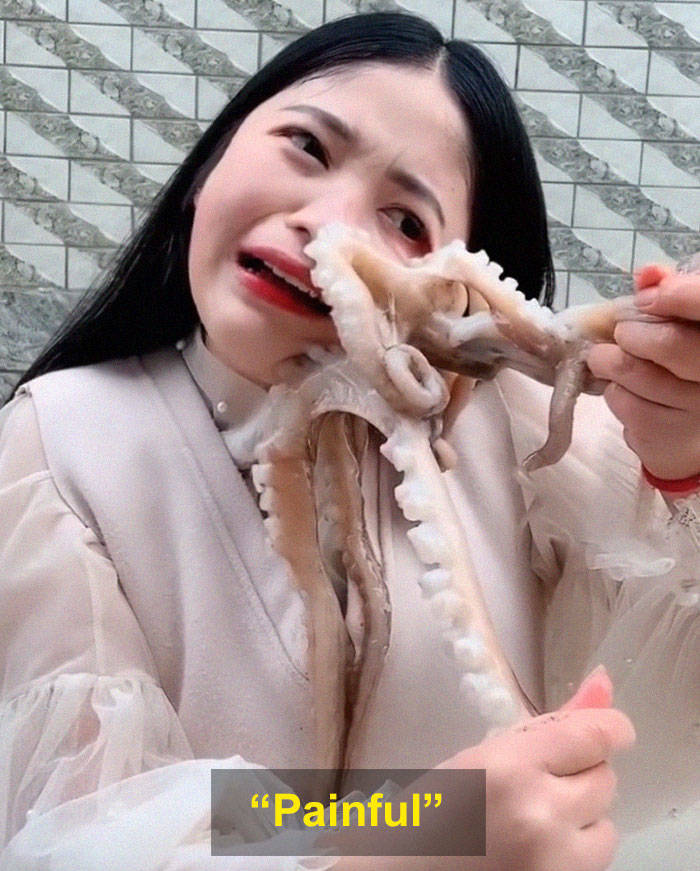 Apparently, Octopuses Don’t Like Being Eaten Alive