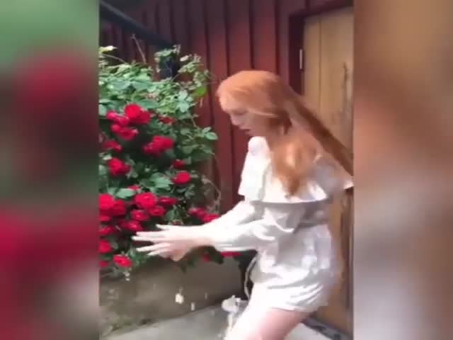 page,3,top 75 videos of the year 2019.html - 1 HD Video | Premium Gallery 2019