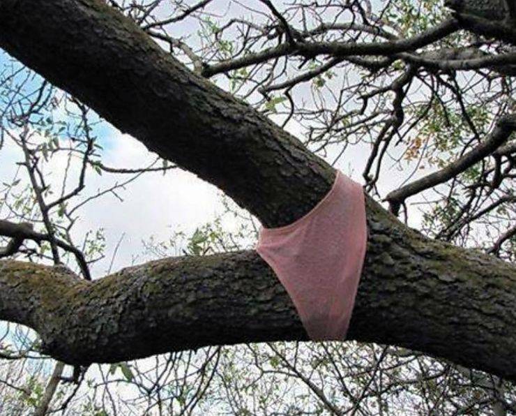 Dirty Mind, Come Here!