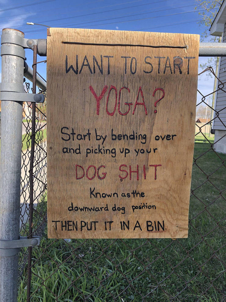 Morning Picdump