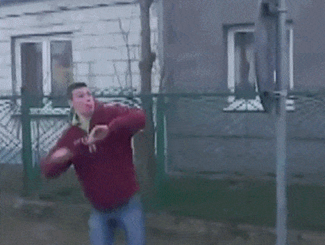 GIF Science At Its Absolute Best