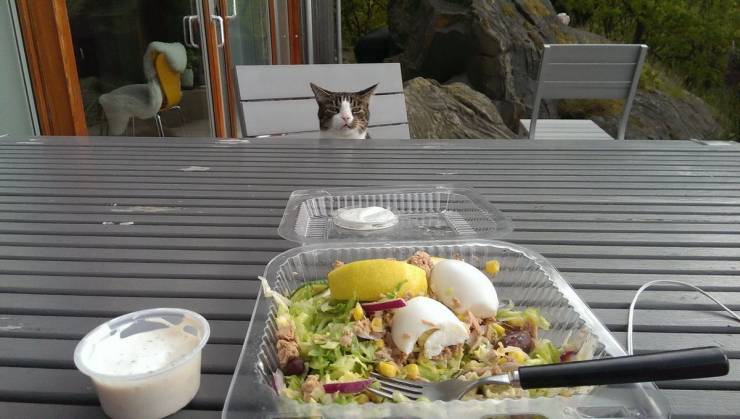 Daily Picdump