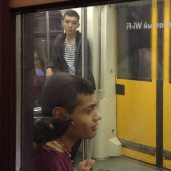 Daily Picdump