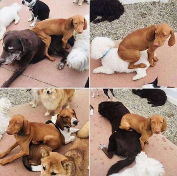 daily picdump 95 pics 12.html - 95 HD Photos | Premium Gallery 2019
