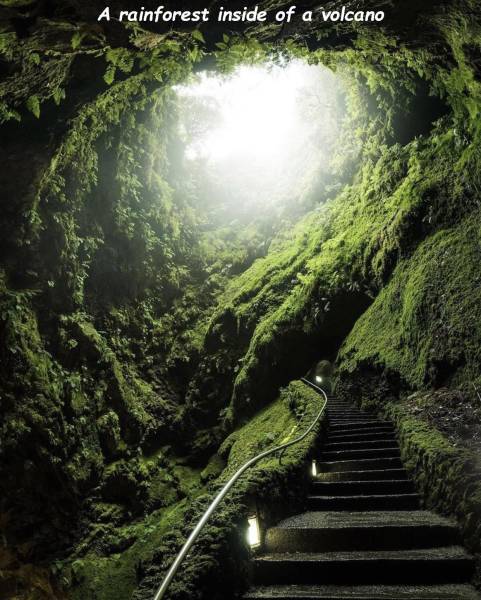 page,8,top 750 daily pics of the year 2019.html - 1 HD Photos | Premium Gallery 2019