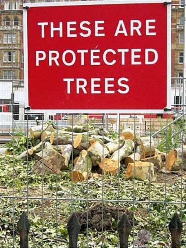 Funny Picdump