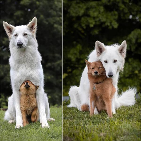 page,3,top 750 daily pics of the year 2019.html - 1 HD Photos | Premium Gallery 2019