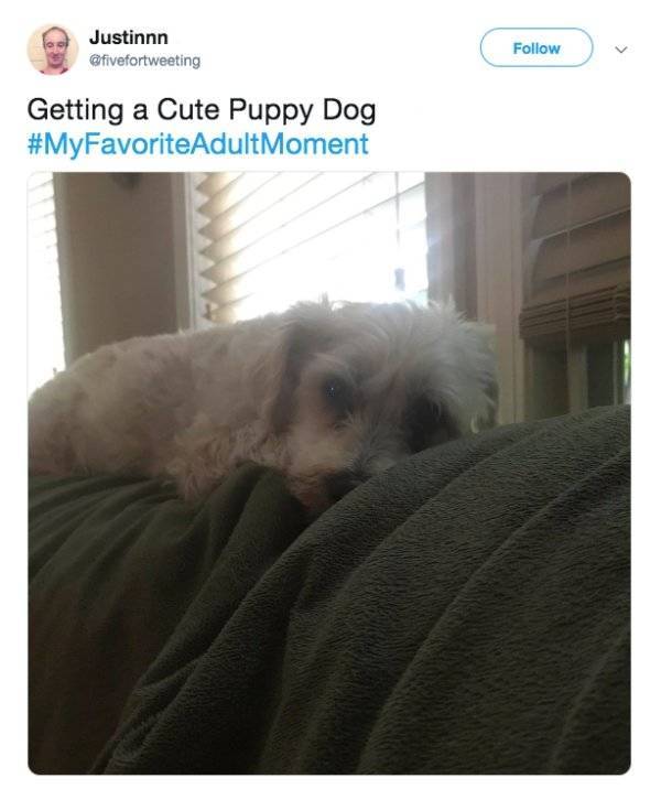 Okay, Adult Life Has Its Bonuses