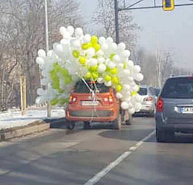 Morning Picdump