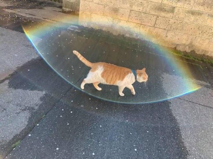 morning picdump 51 pics 14.html - 51 HD Photos | Premium Gallery 2019