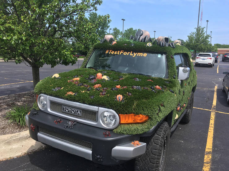 morning picdump 51 pics 14.html - 51 HD Photos | Premium Gallery 2019