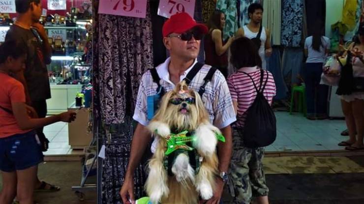 Daily Picdump