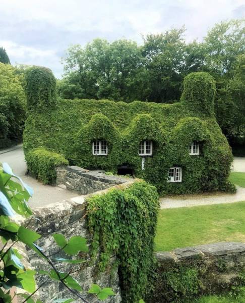 page,24,top 750 daily pics of the year 2019.html - 1 HD Photos | Premium Gallery 2019