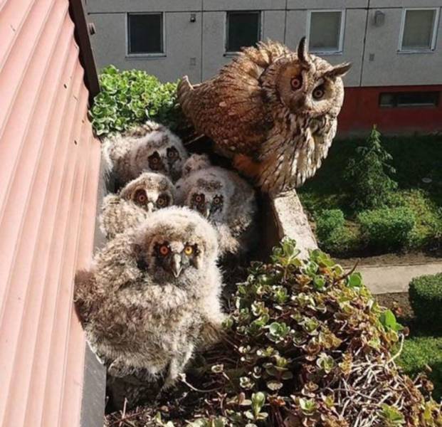 page,24,top 750 daily pics of the year 2019.html - 1 HD Photos | Premium Gallery 2019