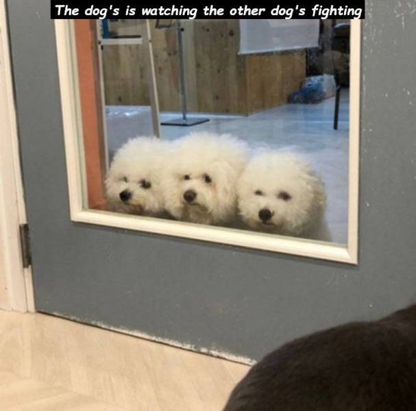 daily picdump 95 pics 2.html - 95 HD Photos | Premium Gallery 2019