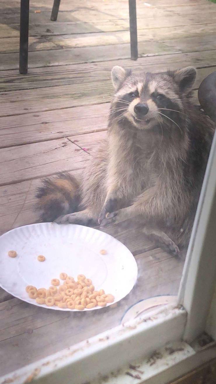 daily picdump 95 pics 2.html - 95 HD Photos | Premium Gallery 2019