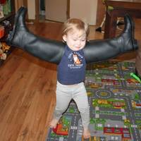 owner saves his dog from pit bulls video.html - 1 HD Video | Premium Gallery 2020