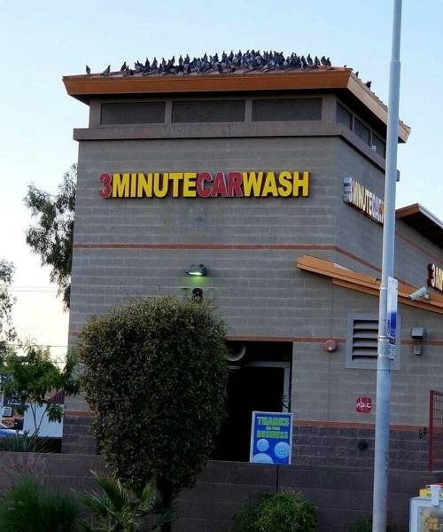 Daily Picdump