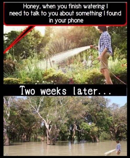 top 250 funny pics of the year 2019.html - 1 HD Photos | Premium Gallery 2019