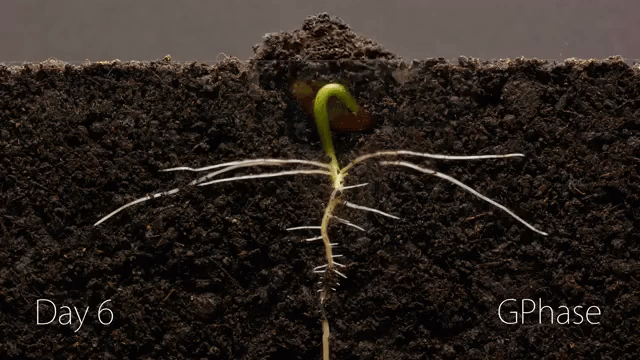 Hold Your Breath, Time For Time-Lapse!