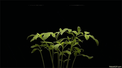 Hold Your Breath, Time For Time-Lapse!