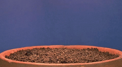 Hold Your Breath, Time For Time-Lapse!