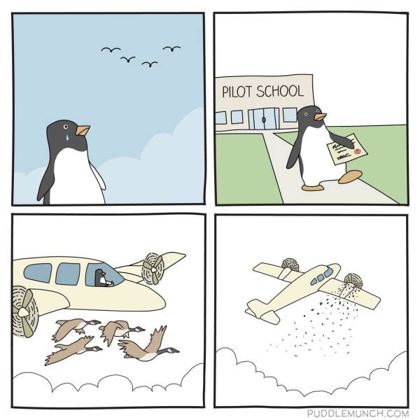 Funny Picdump