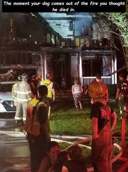 page,25,top 750 daily pics of the year 2019.html - 1 HD Photos | Premium Gallery 2019