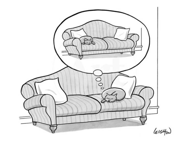 Funny Picdump