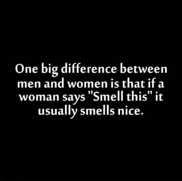Funny Picdump