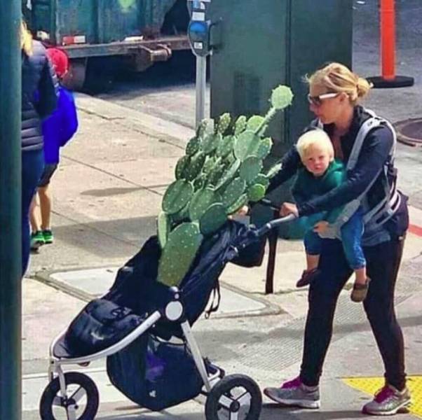 Sometimes You Just Can’t Explain…
