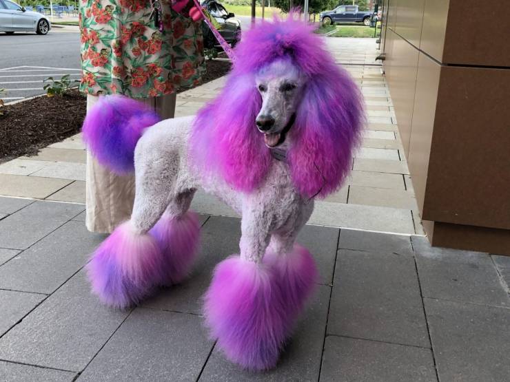 Sometimes You Just Can’t Explain…