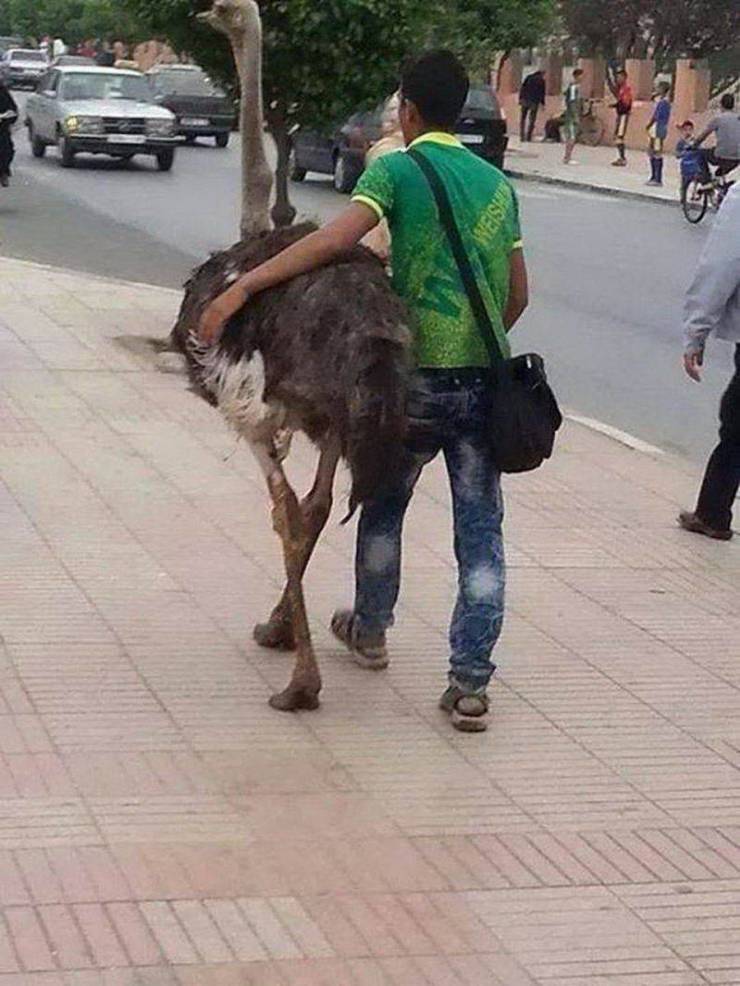 Sometimes You Just Can’t Explain…