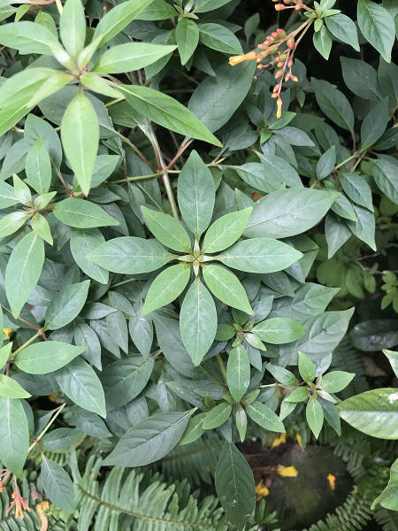 page,8,top 250 morning pics of the year 2019.html - 1 HD Photos | Premium Gallery 2019