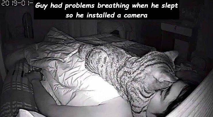 page,25,top 750 daily pics of the year 2019.html - 1 HD Photos | Premium Gallery 2019