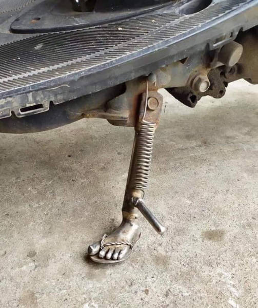 Morning Picdump