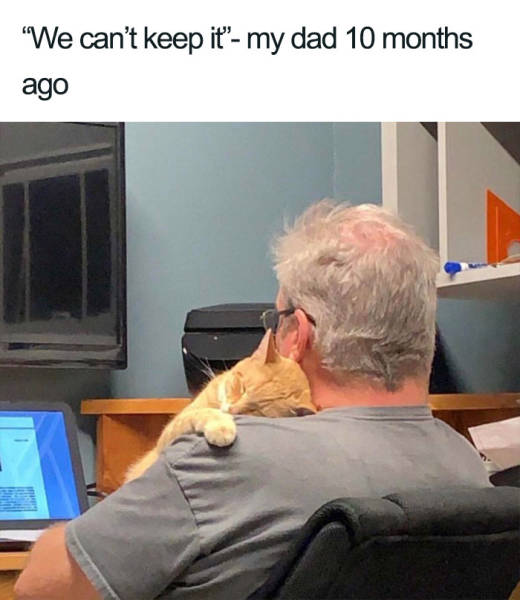 page,2,top 100 animals pics of the year 2019.html - 1 HD Photos | Premium Gallery 2019