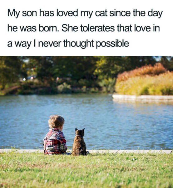 page,4,top 100 animals pics of the year 2019.html - 1 HD Photos | Premium Gallery 2019