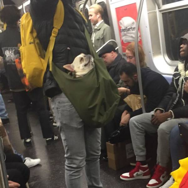 Subway Is Such A Fun Place!