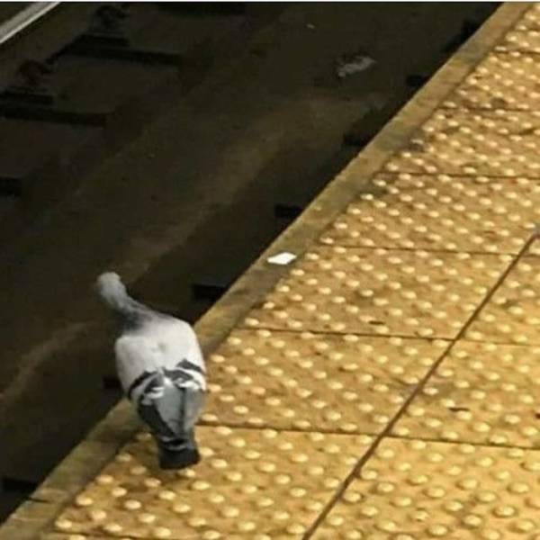Subway Is Such A Fun Place!