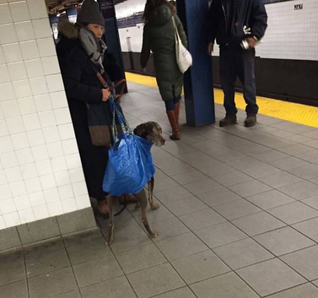 Subway Is Such A Fun Place!