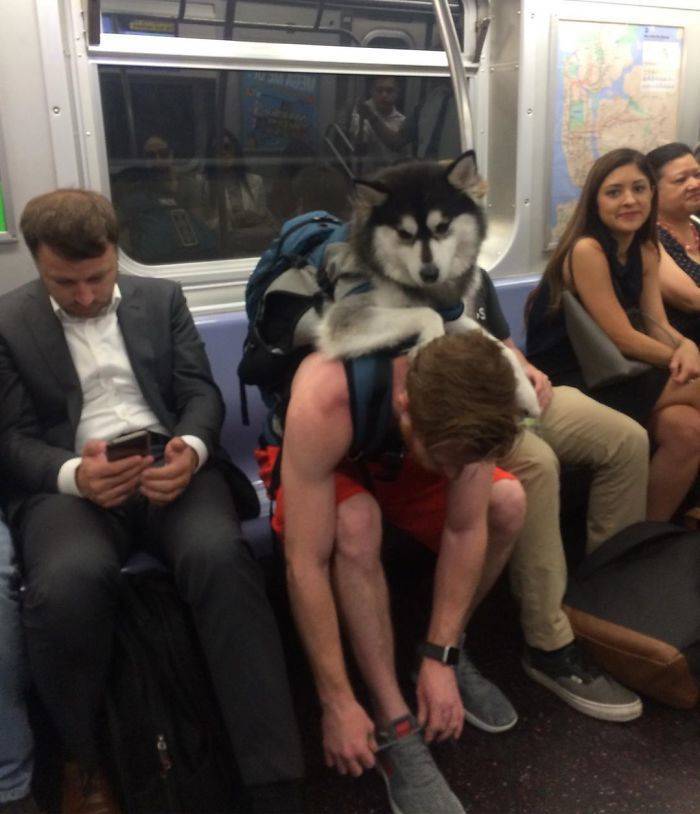 Subway Is Such A Fun Place!