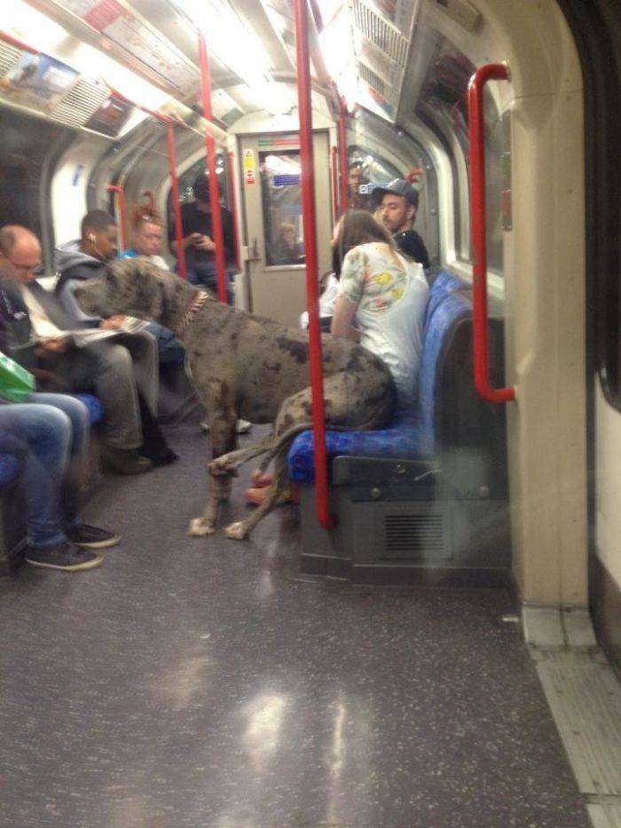 Subway Is Such A Fun Place!