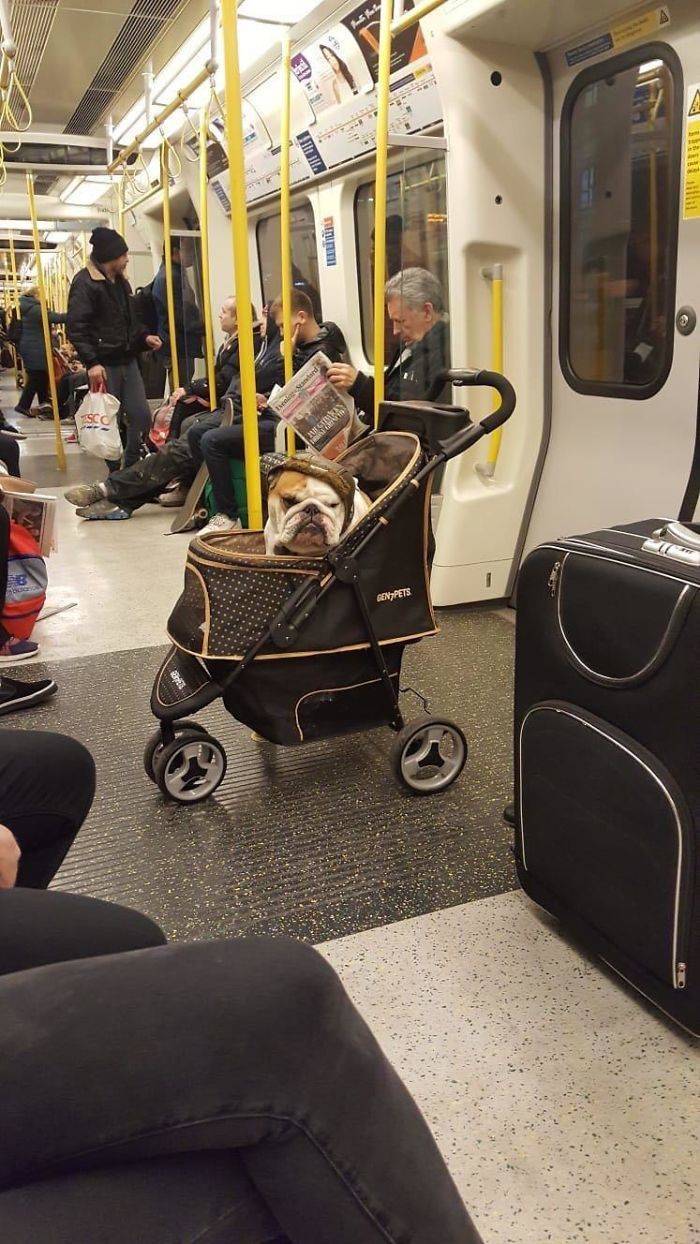 Subway Is Such A Fun Place!