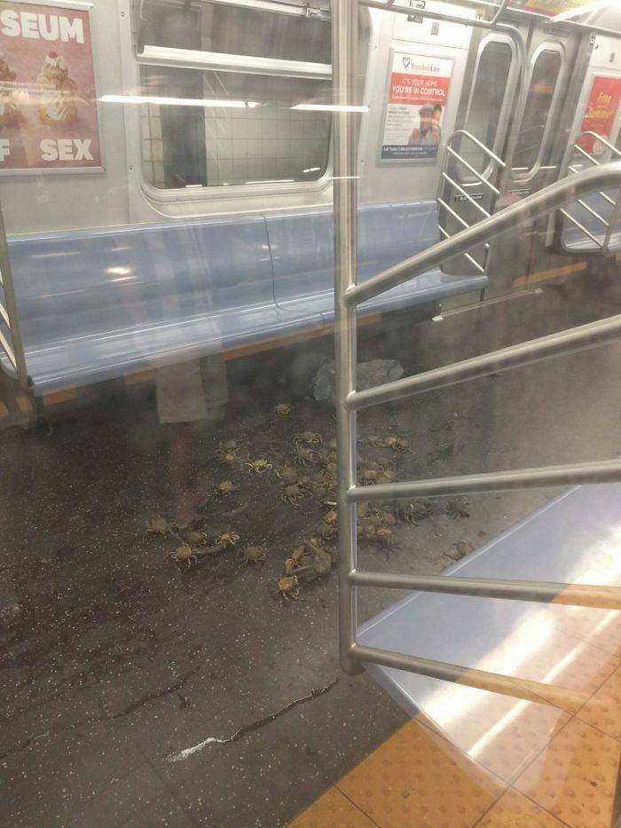 Subway Is Such A Fun Place!