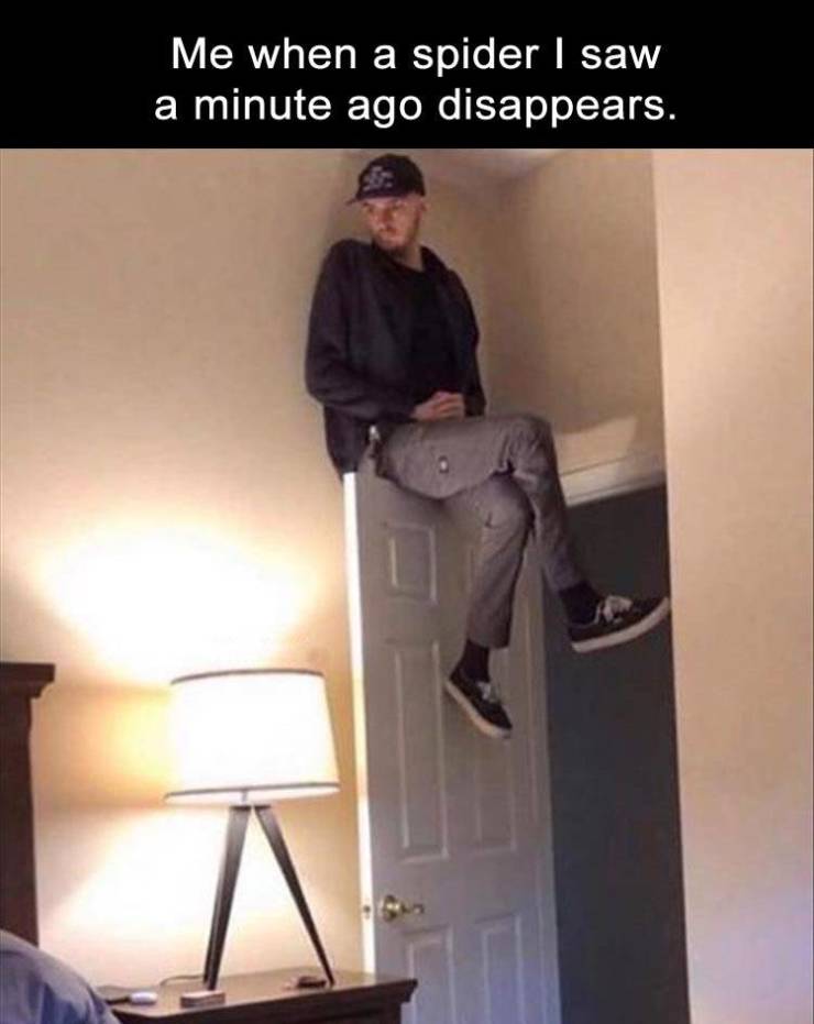 funny picdump 52 pics 1.html - 52 HD Photos | Premium Gallery 2019