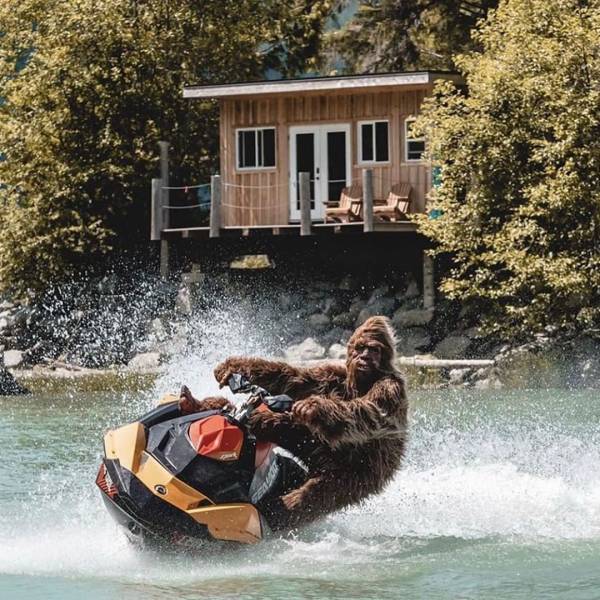 Daily Picdump