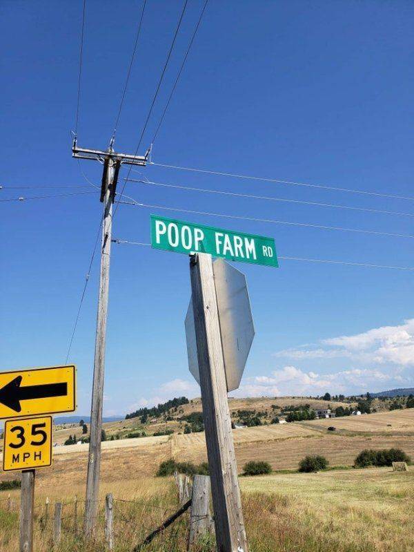 daily picdump 97 pics 46.html - 97 HD Photos | Premium Gallery 2019