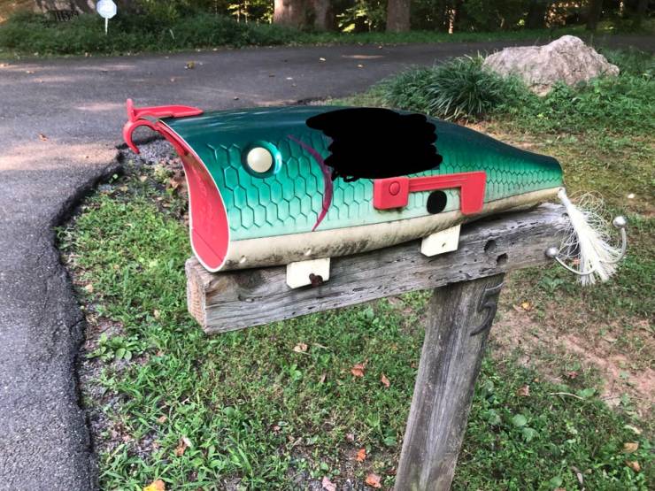 page,10,top 250 morning pics of the year 2019.html - 1 HD Photos | Premium Gallery 2019