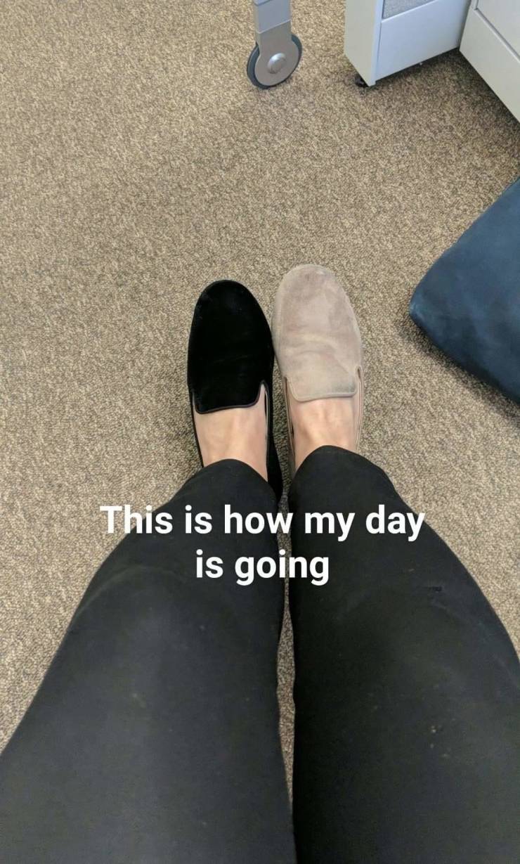 daily picdump 86 pics 9.html - 86 HD Photos | Premium Gallery 2019